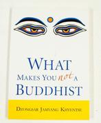 What Makes You Not A Buddhist 9781590304068, Gelezen, Dzongsar Jamyang Khyentse, Dzongsar Jamyang Khyentse, Verzenden