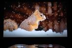 HIGH-END | 4K HDR| 3D | OPTOMA UHD40 | Lensshift| Daglicht!, Ophalen of Verzenden, Zo goed als nieuw, OPTOMA 4K, DLP