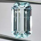 Zonder Minimumprijs Aquamarijn - 13.31 ct - Instituto, Nieuw