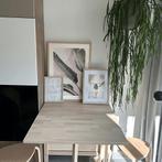 Gemeubileerde studio met privé tuin in Cornelis van Alkemade, 20 tot 35 m², Amsterdam