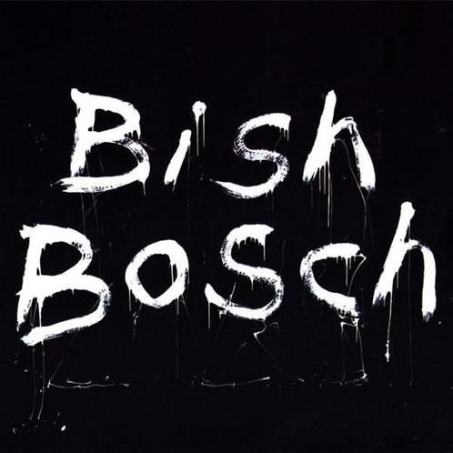 cd - Scott Walker - Bish Bosch, Cd's en Dvd's, Cd's | Overige Cd's, Zo goed als nieuw, Verzenden