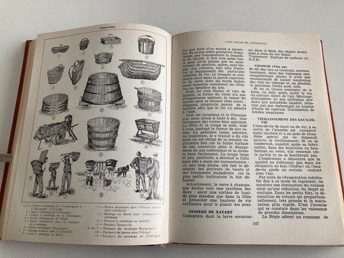 René Engel, Michel Mastrojanni, e.a. - Lot with 8 books:, Antiek en Kunst, Antiek | Boeken en Bijbels