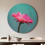 Blush Bloom – Muurcirkel - ø 100 cm +Ophangset, Huis en Inrichting, Woonaccessoires | Schilderijen, Tekeningen en Foto's, Verzenden
