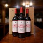 2023 Petra, Hebo - Toscane IGT - 3 Magnums (1.5L), Verzamelen, Nieuw