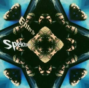 LP gebruikt - Spektrum - Enter the Spektrum [VINYL], Cd's en Dvd's, Vinyl | Overige Vinyl, Zo goed als nieuw, Verzenden