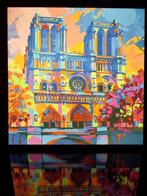 M.R. Arroyo - Notre Dame en la estabilidad del color