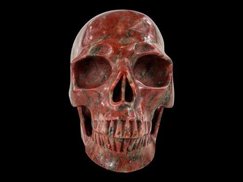 Rode Sesam Jaspis Schedel Museum Kwaliteit Gesneden, Verzamelen, Dierenverzamelingen