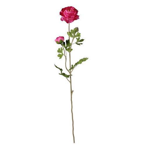 Grote Ranonkel licht vertakt DarkPink 70 cm. Grote Ranonkel, Huis en Inrichting, Woonaccessoires | Kunstplanten en Kunstbloemen