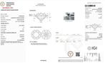 Zonder Minimumprijs - Ring Platina - 3.40ct. tw. Diamant, Nieuw