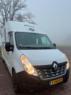 Degelijke Renault Barbot dubbelcabine! 2011 - Automaat!, Dieren en Toebehoren, Paarden en Pony's | Trailers en Aanhangwagens, Ophalen