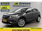 Opel Grandland X 1.2 Turbo Innovation LED Carplay Cam Trekh, Automaat, Nieuw, Zilver of Grijs, Benzine