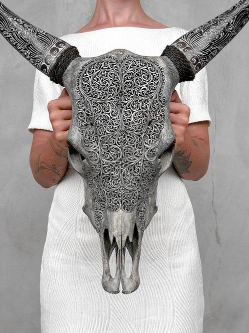 GEEN RESERVEPRIJZEN - Gesneden Grijze Koeienschedel met, Antiek en Kunst, Kunst | Designobjecten
