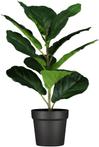 HEMA Kunstplant vioolbladplant 50cm van €17,50 voor €14 sale