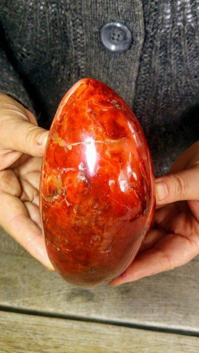 Carnelian Ei - Hoogte: 12 cm - Breedte: 9 cm- 1039 g, Verzamelen, Mineralen en Fossielen
