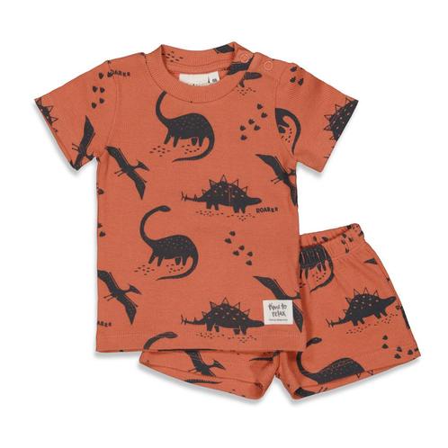 Feetje - Pyjama / Shortama Dino Dale, Kinderen en Baby's, Babykleding | Overige