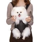 Buikdrager voor hondje of kat tot 3,5 kg, Dieren en Toebehoren, Honden-accessoires, Ophalen of Verzenden, Nieuw