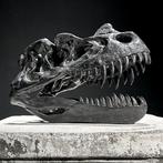 sculptuur, NO RESERVE PRICE - A Replica of Dinosaur Skull -