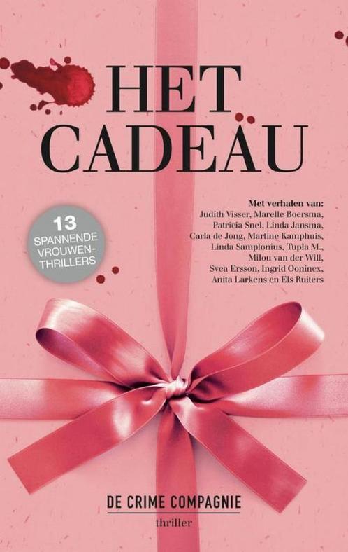 Het cadeau 9789461091598 Judith Visser, Boeken, Thrillers, Gelezen, Verzenden
