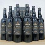 2020 Dows - Late Bottled Vintage Port - Porto - 6 Flessen, Nieuw