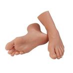 Anatomie model voet voor verpleegkunde of voetmassage, Verzenden, Nieuw