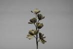 Magnolia kort foam Cool Grey/Creme Magnolia, Huis en Inrichting, Woonaccessoires | Kunstplanten en Kunstbloemen, Ophalen of Verzenden
