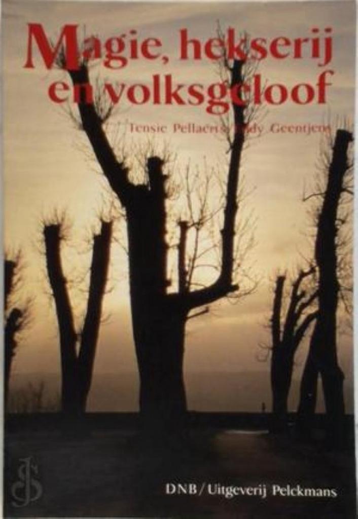 Magie hekserij en volksgeloof 9789028911505 Pellaerts, Boeken, Esoterie en Spiritualiteit, Gelezen, Verzenden