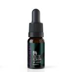Dutch Hemp CBC olie full spectrum 5% 10 ml 500 mg CBC, Verzenden, Nieuw