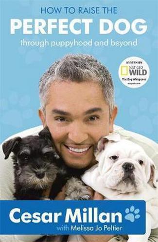 9780340993071 How to Raise the Perfect Dog | Tweedehands