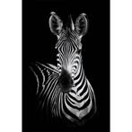 120x180x2cm Alubrush Zebra, Huis en Inrichting, Woonaccessoires | Schilderijen, Tekeningen en Foto's, Nieuw, Ophalen of Verzenden