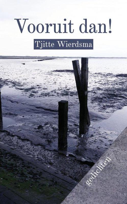 Vooruit dan 9789493343313 Tjitte Wierdsma, Boeken, Overige Boeken, Gelezen, Verzenden