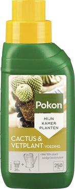 POKON CACTUS & VETPLANT VOEDING 250 ML, Tuin en Terras, Ophalen of Verzenden, Nieuw