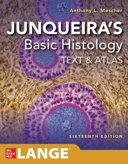 9781260462982 | Junqueiras Basic Histology: Text and Atl..., Boeken, Studieboeken en Cursussen, Verzenden