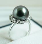 Zonder Minimumprijs - Ring - 18 kt. Witgoud - Rikitea Parel, Nieuw