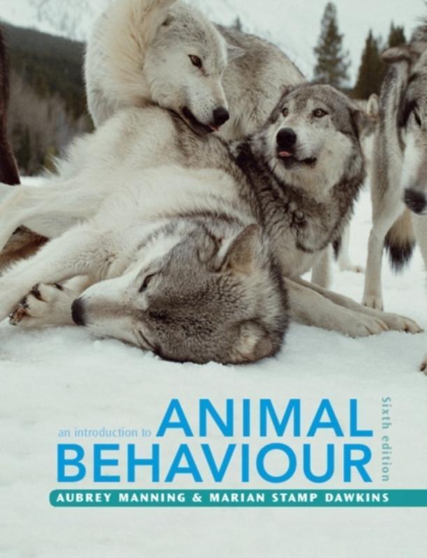 An Introduction to Animal Behaviour 9780521165143, Boeken, Studieboeken en Cursussen, Zo goed als nieuw, Verzenden