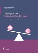 9789083350424 Wegwijs in het persoonsgebonden budget, Boeken, Studieboeken en Cursussen, Verzenden, Nieuw, Kees Willem Bruggeman