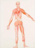 Leonor Fini (1907-1996) - Costume d’écorche