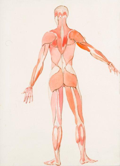 Leonor Fini (1907-1996) - Costume d’écorche, Verzamelen, Mineralen en Fossielen