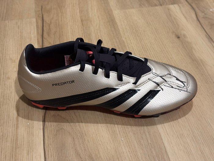 Inter Milan - Italiaanse voetbal competitie - Javier Zanetti, Verzamelen, Overige Verzamelen