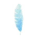 Spadonis babyblauw (50-60cm), Diversen, Ophalen of Verzenden, Nieuw