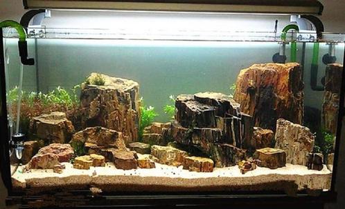 Onverbiddelijk In hoeveelheid Blanco ≥ Petrified stone 10-20cm - aquarium decoratie stenen — Vissen | Aquaria en  Toebehoren — Marktplaats