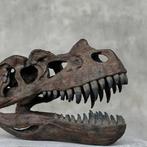 sculptuur, NO RESERVE PRICE - A Replica of Dinosaur Skull -
