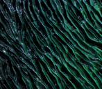 Maria Ruisi - Souffle d’Obsidienne