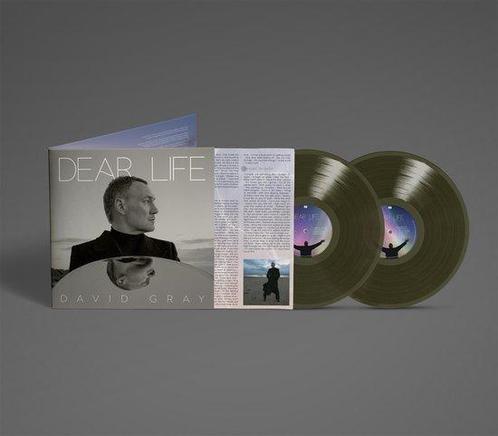David Gray - Dear Life (2 LP) (Coloured Vinyl), Cd's en Dvd's, Vinyl | Overige Vinyl, Verzenden