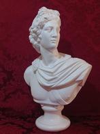 Beeld, Apollo del Belvedere - 56 cm - terracotta dipinta -