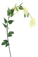 Hop flower spray cream 140 cm kunstbloem - Nova Nature, Huis en Inrichting, Woonaccessoires | Overige, Nieuw, Verzenden