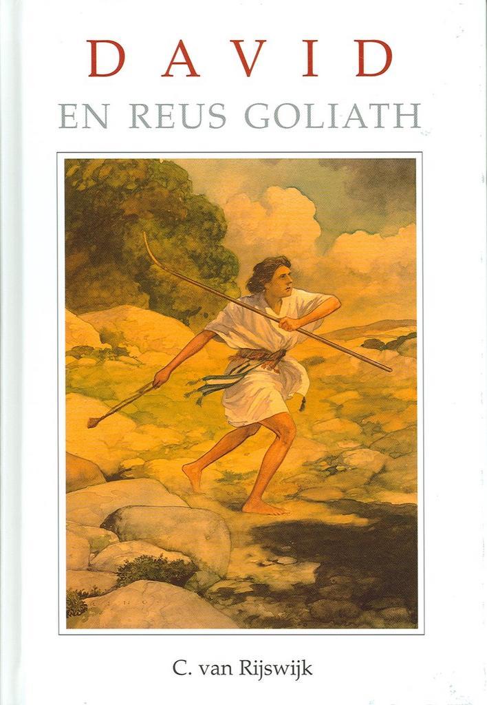 David en reus Goliath / Het Woord van de Koning, Boeken, Kinderboeken | Jeugd | 13 jaar en ouder, Gelezen, Verzenden