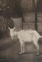 Jan Mankes (1889-1920) - Oude geit