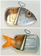 Art Grafts - Fish Can & Fish Can't - Two Prints, Antiek en Kunst, Verzenden