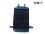 Radiateur Suzuki AN 400 Burgman 1998-2000 (AN400), Verzenden, Gebruikt