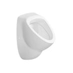 Urinoir Sapho Aqualine 39x56.3 cm Verborgen Inlaat en Afvoer, Doe-het-zelf en Verbouw, Sanitair, Ophalen of Verzenden, Nieuw, Overige typen